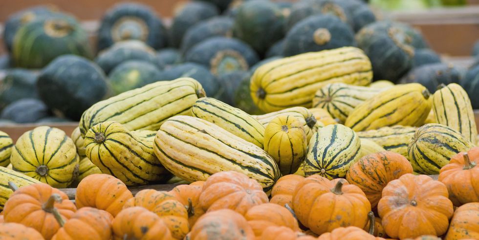 12 Types of Winter Squash and How to Cook Them This Season